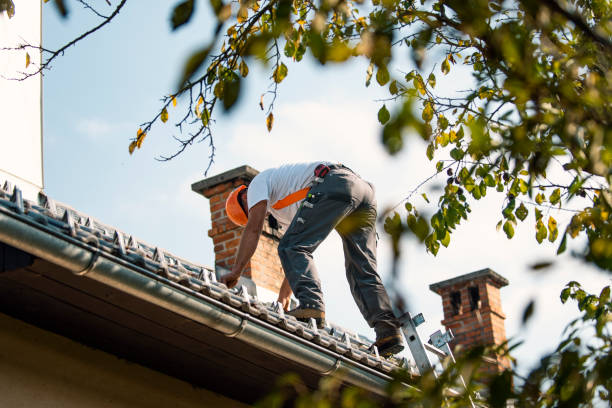 Best Flat Roofing  in Roessleville, NY